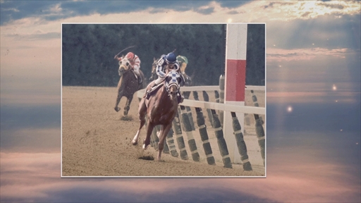 ���������꡼ No.010�Υ���ͥ������ / �Υ��󥿥ӥ塼�ϡ�Winning Post 10 2025�פǤϡ����꡼������Υܥ�塼��ȿʲ���������ե��å�������ФǶ��Ϥ���ˤ��������