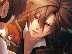 Υץ쥤ݡϡ׷̾ȥȥᥤ եƥɤɤ롪뵴Ȥֽ for Nintendo Switch