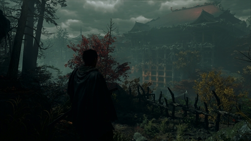 ꡼ No.004Υͥ / ֵ Way of the Sword׼µץ쥼ȯ󥿥ӥ塼ڤᥢ¸뤳ΰü