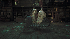 ꡼ No.013Υͥ / ֵ Way of the Swordפκǿȥ쥤顼¢ȸη㤷襤ǧǤ