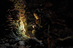 画像ギャラリー No.003のサムネイル画像 / ドラマ「THE LAST OF US シーズン2」,日本語吹替版の配信をU-NEXTで開始。山寺宏一さん,杉田智和さんらゲーム版と同じキャストを起用