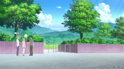 ꡼ No.017Υͥ / Υץ쥤ݡϲܤᤴʤ̤ʲƵ٤ߡֲͧĢ շεפǿ䤵