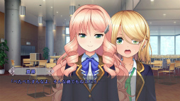 ���������꡼ No.017�Υ���ͥ������ / �Υץ쥤��ݡ��ˤ�̼Ʊ�ΤΥǥ����פʰ��������ֽ���ɴ��Ȫ�ס�º��������̩�βֱब����˺ߤ�