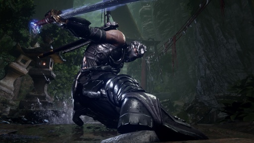 ���������꡼ No.005�Υ���ͥ������ / �Υ��󥿥ӥ塼�ϡ�NINJA GAIDEN 4�פϤʤ������ʷ��ɬ�פȤ����Τ���Team NINJA����ʸɧ�ᡤ�ץ���ʥ����ॺ����͵�����ʹ��