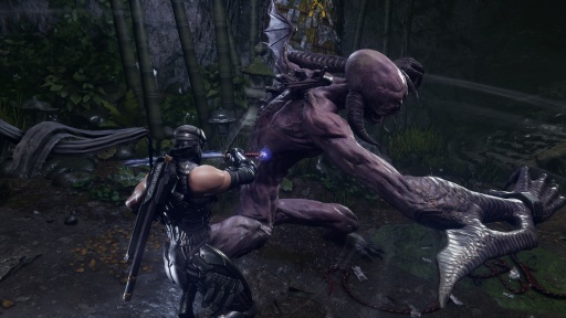 ���������꡼ No.008�Υ���ͥ������ / �Υ��󥿥ӥ塼�ϡ�NINJA GAIDEN 4�פϤʤ������ʷ��ɬ�פȤ����Τ���Team NINJA����ʸɧ�ᡤ�ץ���ʥ����ॺ����͵�����ʹ��