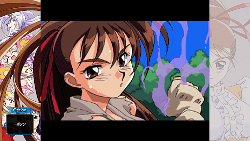 ꡼ No.015Υͥ / Υץ쥤ݡSTG֥ࡦϡġפƮ֥ɥ󥹥 ꥢ֥롦פȯ䡣̾¤ɤ