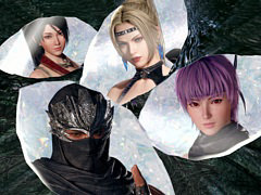 ��̵�Х��ӥ��ס���NINJA GAIDEN�ץ��꡼����ꡤ��奦���ϥ�֥�������͡��쥤�����롤���դ�����