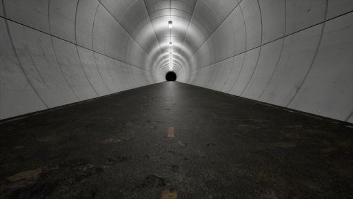 ���������꡼ No.006�Υ���ͥ������ / ������ʪ�����ߤĤ����Ե�̣�ʥȥ�ͥ뤫���æ�Ф��ܻؤ��ִ����ȥ�ͥ�ס�Steam���ȥ��ڡ��������