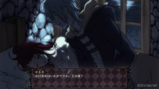 ���������꡼ No.019�Υ���ͥ������ / �Υץ쥤��ݡϡ�The Silent Kingdom���θ��ǡ��������ȥ�˹����줿��̣�˥����á�������ԤΤ���˽�����ĩ�ವ��RPG