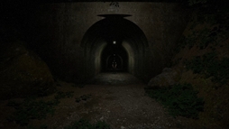 ���������꡼ No.002�Υ���ͥ������ / �Ե�̣�ʥȥ�ͥ���⤯�ۥ顼���������󥰥��ߥ�졼�����ƻ�ס�3��21����ȯ����ꡣ���ޤ����Ǥǡ�8�ֽи��ץ饤���ʥ⡼�ɤ�