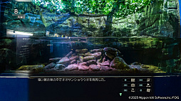 ꡼ No.027Υͥ / Ƹž⥪åŸХǼͳι褦ιADV赭5ס1βᤴܤҲ