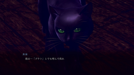 ���������꡼ No.014�Υ���ͥ������ / �֥ǥӥ륵�ޥʡ����ե饤�ɥ���Ķ��ʼ�ġפ��ѥ���åפ����ɤ롣HD��ޥ�������RAIDOU Remastered: Ķ��ʼ�Ĵ����פ�ȯɽ��