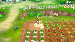 画像ギャラリー No.009のサムネイル画像 / 「牧場物語 Let's!風のグランドバザール」,牧場生活の基本となる作物や動物の育て方に関する情報が公開に