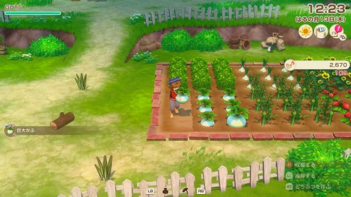 ���������꡼ No.005�Υ���ͥ������ / �˿��ǥ����ΤΥ�����ҥҥ硼 ��������853���̴�������ޤ�����