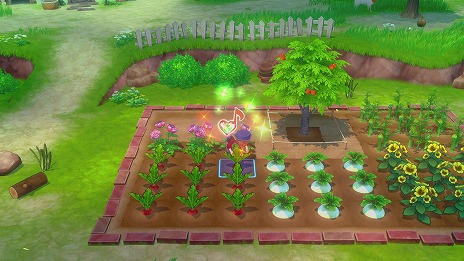 ꡼ No.010Υͥ / Ҿʪ Let'sΥɥХ߷׽вܿ50ܤˡޤĤޤˤ뵭ǰ饹Ȥ