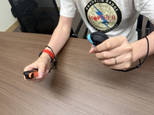 ���������꡼ No.011�Υ���ͥ������ / �Υץ쥤��ݡϤ��ʤ���Switch2 EXPO������Nintendo Switch 2 �ΤҤߤ�Ÿ�פϡ��Ҥɤ�Ȱ��˽�ꤿ���ʤ��ͷ�٤�Ÿ�����