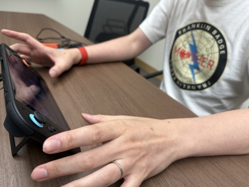 ���������꡼ No.013�Υ���ͥ������ / �Υץ쥤��ݡϤ��ʤ���Switch2 EXPO������Nintendo Switch 2 �ΤҤߤ�Ÿ�פϡ��Ҥɤ�Ȱ��˽�ꤿ���ʤ��ͷ�٤�Ÿ�����