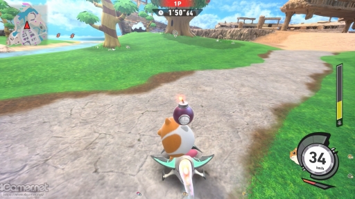 ꡼ No.013Υͥ / ֥ӥΥ饤פᤷ饤ɤǴɤɤγڤƥȥ饤ΡȻθݡ