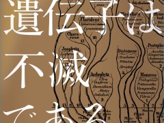 ̿εŪŪǿοʲְҤǤǤסʥޡΤΥ֥åɡ43