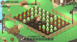 ����Ρ���