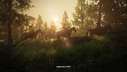 ���������꡼ No.005�Υ���ͥ������ / PS5�����Х�ɥ��The Last of Us Complete�ס�����ȯ�䡣�ɲå���ƥ�Ĥ�ޤ᤿���꡼��2���ʤ���˳ڤ����