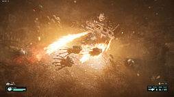 �Ϲ������