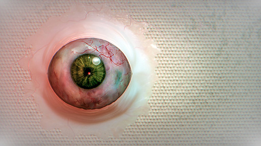 ���������꡼ No.003�Υ���ͥ������ / �����������ǯ�������������������Ǥ����ۥ顼ADV��BrokenLore: DON'T WATCH�ס�������꡼������������������10�󥪥�