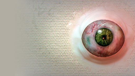 ꡼ No.003Υͥ / PCǤɾƤ;λΥۥ顼ADVBrokenLore: DON'T WATCHסѥൡǤ818˥꡼