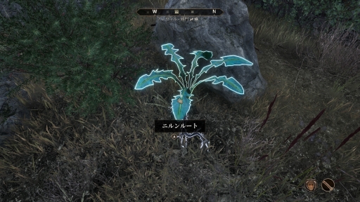 画像ギャラリー No.052のサムネイル画像 / リマスター版で始める「The Elder Scrolls IV: Oblivion」――シリーズ未経験でも安心の冒険ガイド【PR】