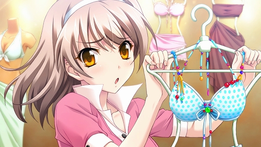 ���������꡼ No.009�Υ���ͥ������ / �֥��꡼�����աץ��꡼���Υե���ǥ�����5���ʤ�HD��ޥ����������Ƽ�Ͽ���֥��꡼������ �ե���ǥ����� �ҥ��ȥꥢ�ס�7��24��ȯ��