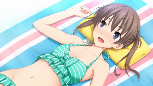 ���������꡼ No.010�Υ���ͥ������ / �֥��꡼�����աץ��꡼���Υե���ǥ�����5���ʤ�HD��ޥ����������Ƽ�Ͽ���֥��꡼������ �ե���ǥ����� �ҥ��ȥꥢ�ס�7��24��ȯ��