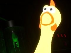 ޤޤϤȤ르ҼõSquawkyסǥǤSteamۿϡԵ̣ʥޤʤ褦ˤ褦