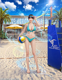 ꡼ No.013Υͥ / ֥ϡ४֥ȡ硼סʹॳȯɽݡȡ֡ʹפȡ͡ʹפ