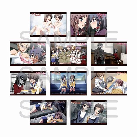 ꡼ No.012Υͥ / ֥ץѡƥפΥ󥷥塼ޥ꡼ȯ15ǯǰ٥ȡŷعǼú2025ס88ոǳ