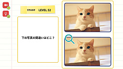 Ǿ�ȥ졪�ޤ��������������꡼Ǿ�ȥ�Ǿ��Ҥ�᤭IQ���ϳ�ְ㤤õ�������󥸡�