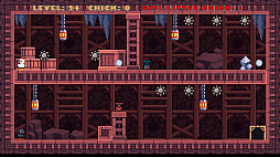 ꡼ No.001 | DUAL PATHS