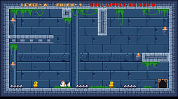 ꡼ No.006 | DUAL PATHS