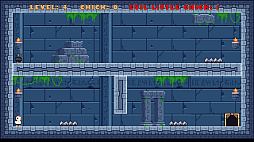 ꡼ No.004 | DUAL PATHS