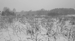 �������������ʤΥѥ��ȥ��