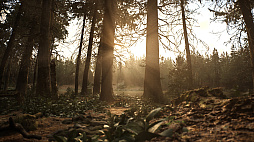 ꡼ No.002 | Whispers in the Fog