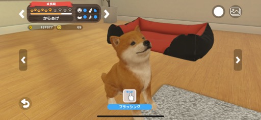 画像ギャラリー No.004のサムネイル画像 / ワンニャンといつでも一緒に暮らせる幸せ。ペットとコミュニケーションを楽しめる「with My Buddy」(今日から始めろApple Arcade #38)