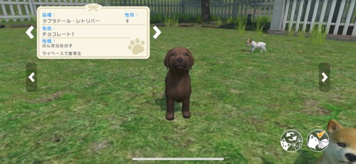 画像ギャラリー No.006のサムネイル画像 / ワンニャンといつでも一緒に暮らせる幸せ。ペットとコミュニケーションを楽しめる「with My Buddy」(今日から始めろApple Arcade #38)