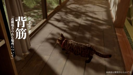 画像ギャラリー No.002のサムネイル画像 / 1匹の猫となり,不気味な何者かから逃げながら記憶を集める。探索ステルスアクション「まだ猫は逃げますか?」,配信時期が今秋に決定