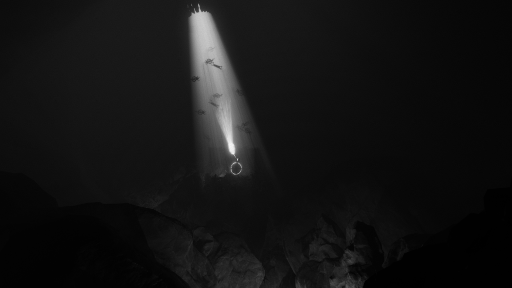 ���������꡼ No.012�Υ���ͥ������ / �������̱���������θ��Ǥ���ե������ۥ顼ADV�֤ҤȤ��ܤΥ꡼�ۡ������ۿ�����꡼���ȥ쥤�顼�����