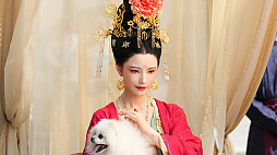 ����ŷ��������ؤ�ƻ��