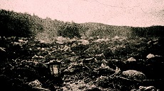 ꡼ No.007Υͥ / ĵץդδֶ­ϡĵηפ2025ǯƤȯءĹë λʤɡ̾åդĵ