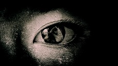 ꡼ No.009Υͥ / ĵץդδֶ­ϡĵηפ2025ǯƤȯءĹë λʤɡ̾åդĵ