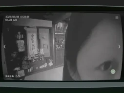 ꡼ No.003 | ܻʪƻ붨 -JSP-