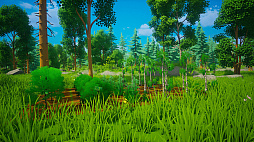 ꡼ No.006 | My Money Grows On Trees