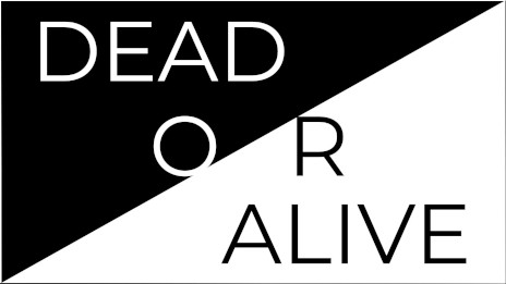 ꡼ No.002Υͥ / İФµܤæФܻؤѥ륲Echo MazeסθǤSteamǥ꡼Ǥ11ȯͽ